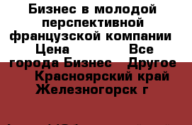 Бизнес в молодой перспективной французской компании › Цена ­ 30 000 - Все города Бизнес » Другое   . Красноярский край,Железногорск г.